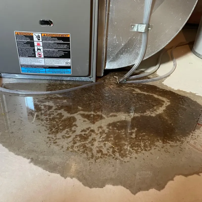 Appliance Leak Cleanup in Abbeville County, SC